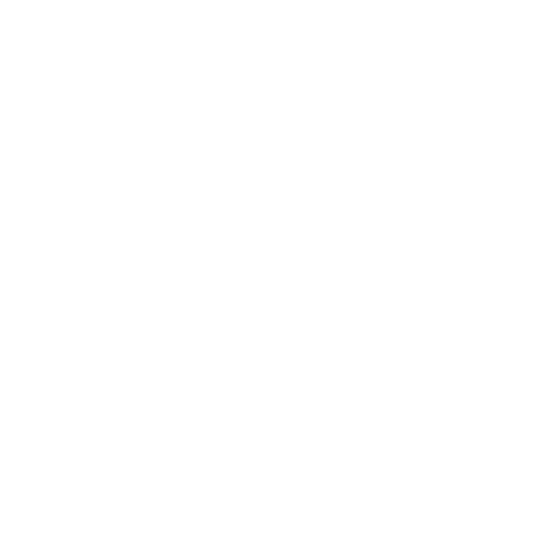 bikegeek