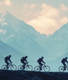Cykelferie fra Passau til Wien – Den klassiske Donaurute